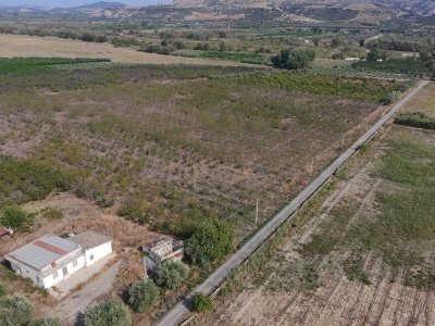 terreno agricolo in vendita a Tursi