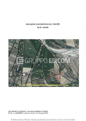 terreno agricolo in vendita a Tursi