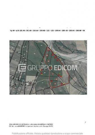 terreno agricolo in vendita a Tursi