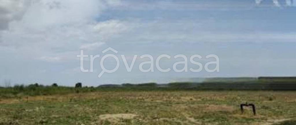 terreno agricolo in vendita a Tursi
