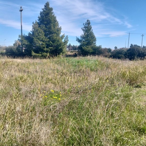 terreno edificabile in vendita a Tursi