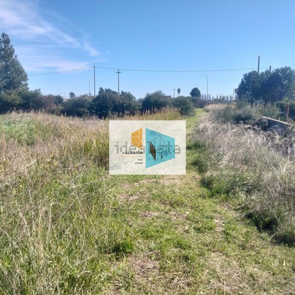 terreno in vendita a Tursi in zona Panevino