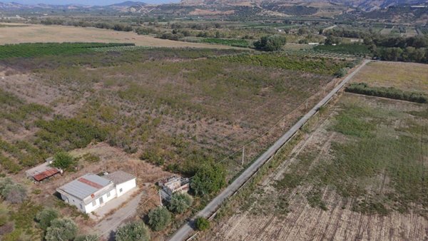 terreno agricolo in vendita a Tursi