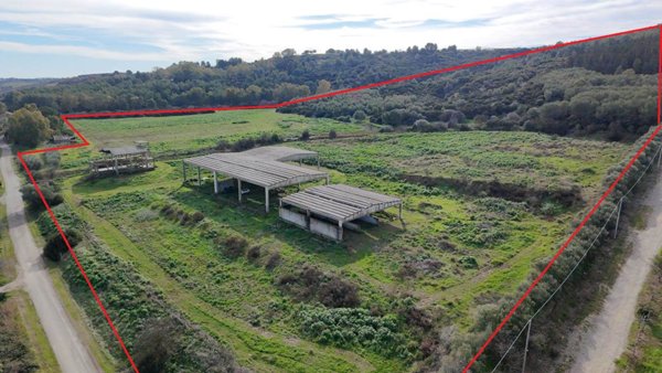 terreno agricolo in vendita a Tursi