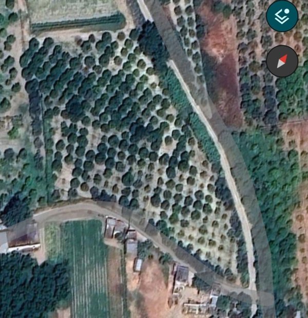 terreno agricolo in vendita a Tursi
