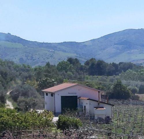 casa indipendente in vendita a Tursi