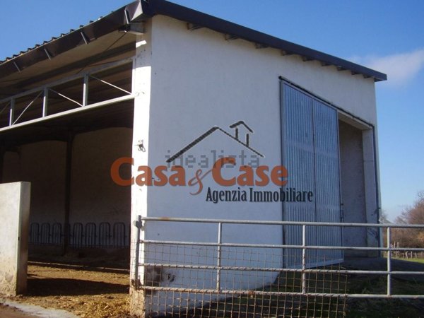 terreno agricolo in vendita a Tursi