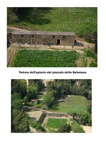 terreno agricolo in vendita a Tursi