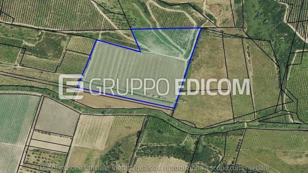 terreno agricolo in vendita a Tursi