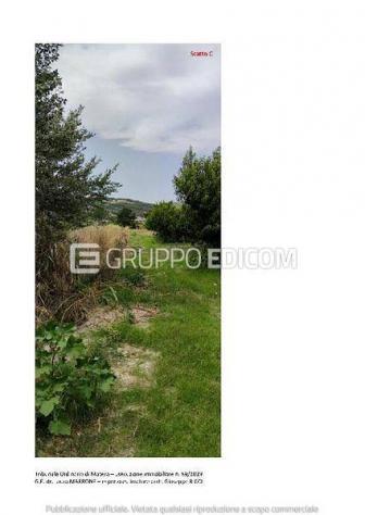 terreno agricolo in vendita a Tursi