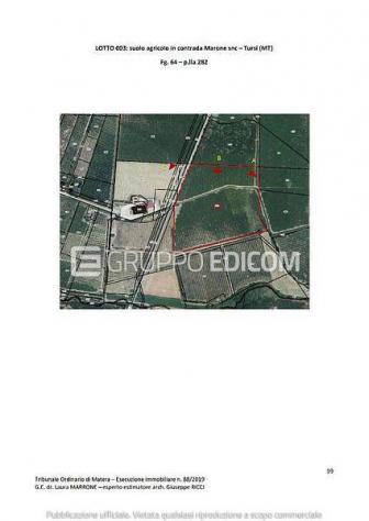 terreno agricolo in vendita a Tursi