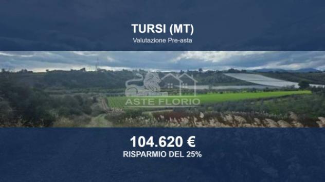 terreno agricolo in vendita a Tursi