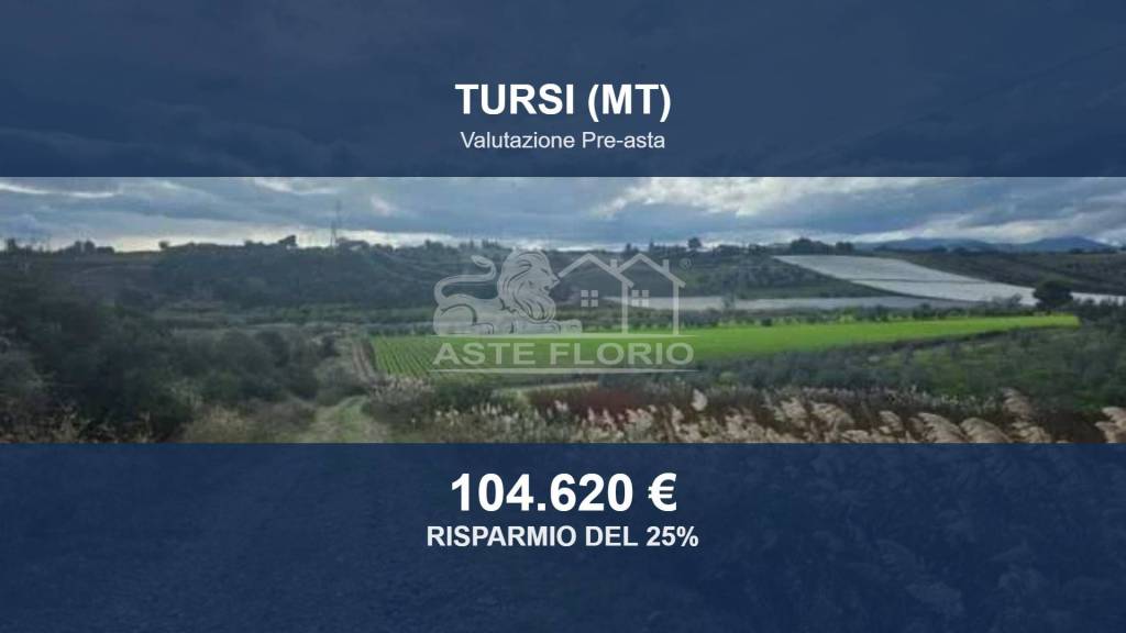 terreno agricolo in vendita a Tursi in zona Anglona