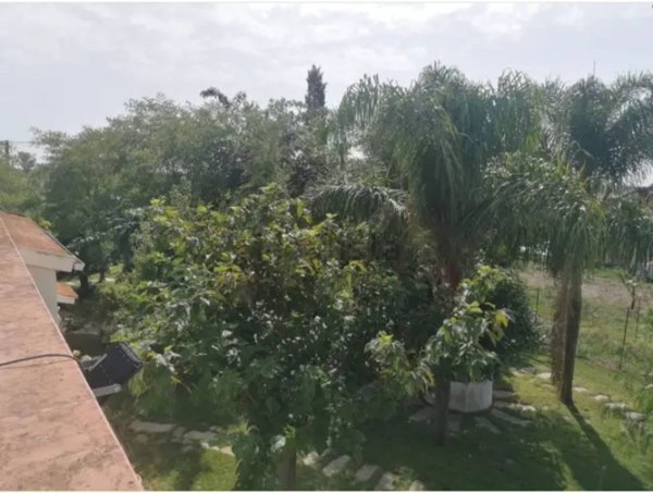 casa indipendente in vendita a Scanzano Jonico