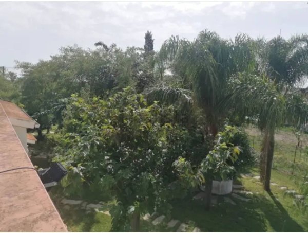 casa indipendente in vendita a Scanzano Jonico