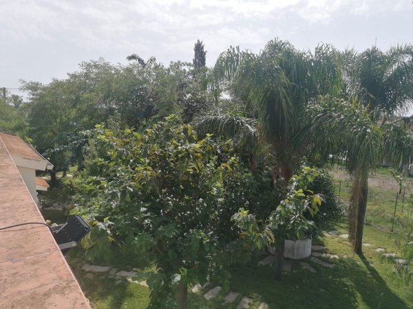 casa indipendente in vendita a Scanzano Jonico