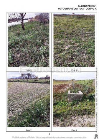 terreno agricolo in vendita a Scanzano Jonico