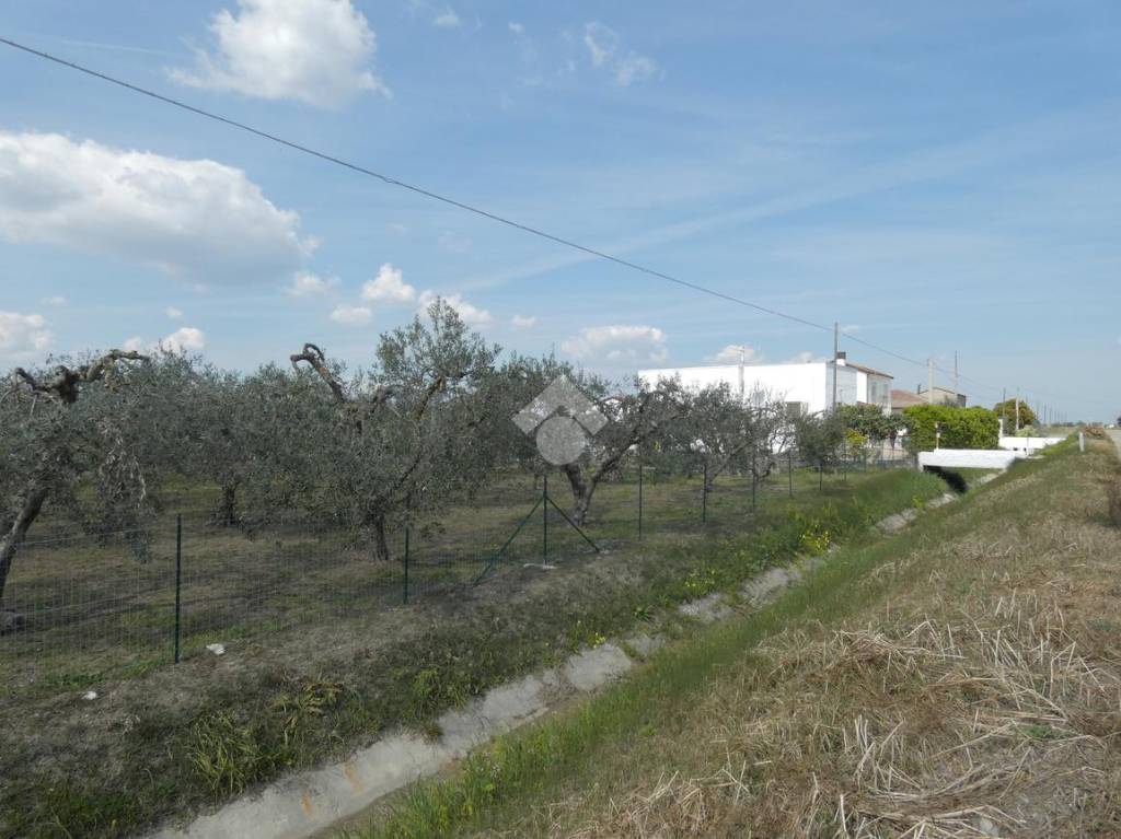casa indipendente in vendita a Scanzano Jonico