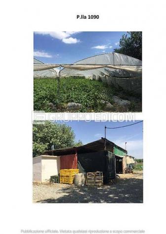 terreno agricolo in vendita a Scanzano Jonico