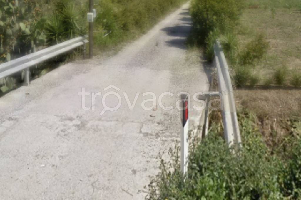 terreno agricolo in vendita a Scanzano Jonico
