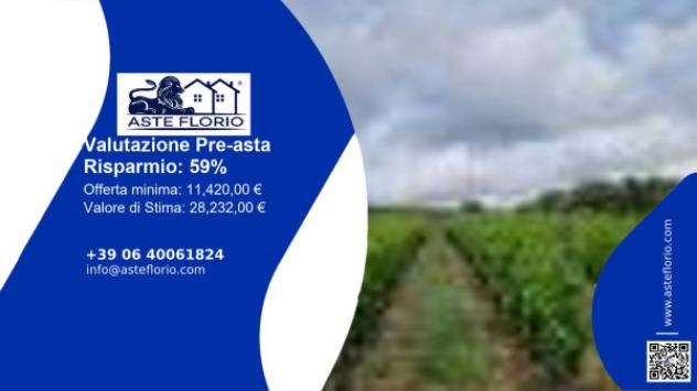 terreno agricolo in vendita a Scanzano Jonico