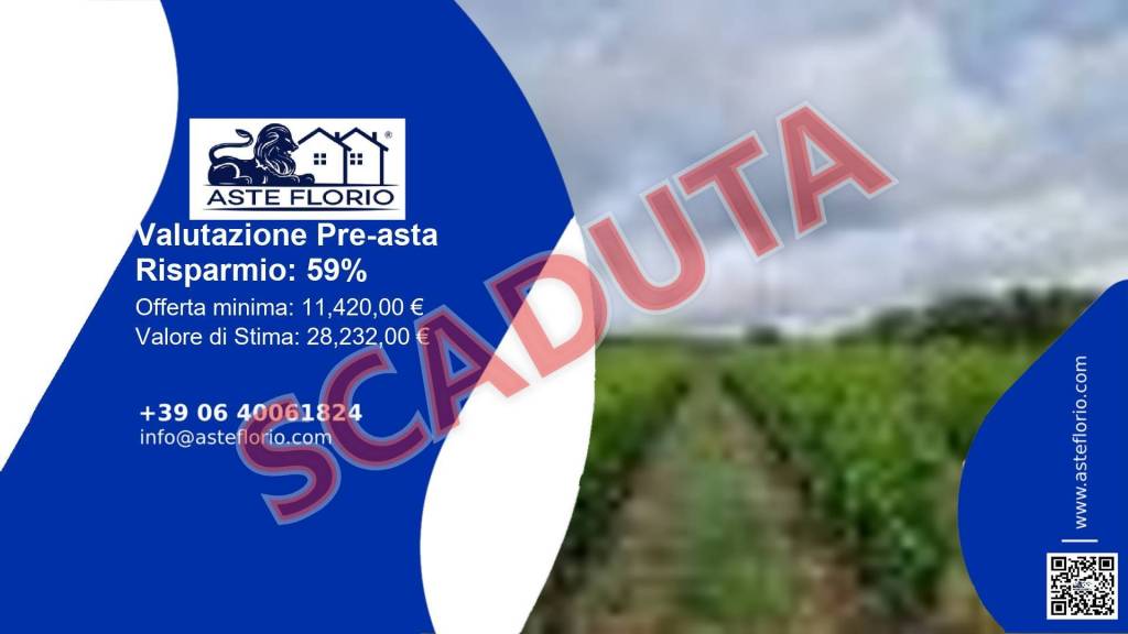 terreno agricolo in vendita a Scanzano Jonico