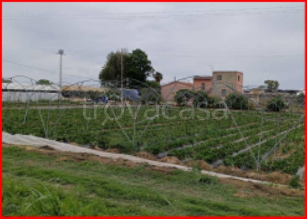 capannone in vendita a Scanzano Jonico