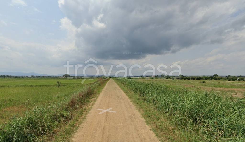 terreno agricolo in vendita a Scanzano Jonico