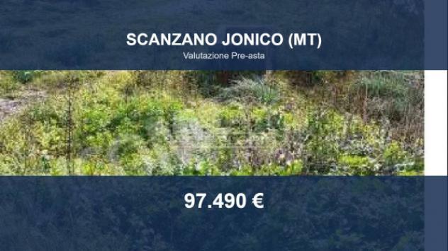 terreno agricolo in vendita a Scanzano Jonico