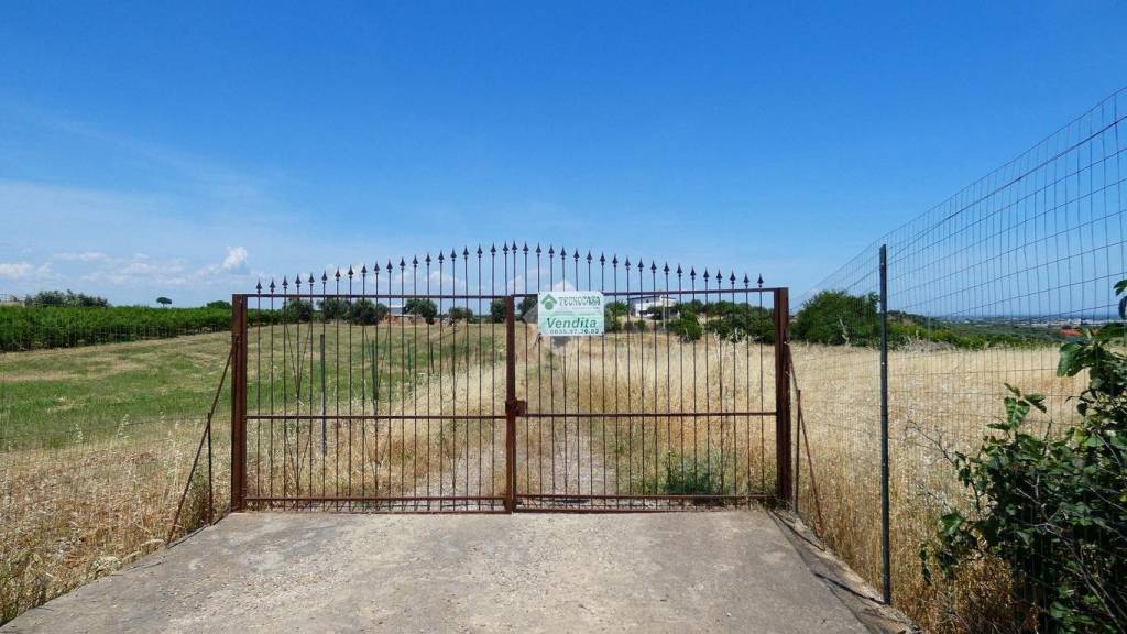 terreno agricolo in vendita a Scanzano Jonico