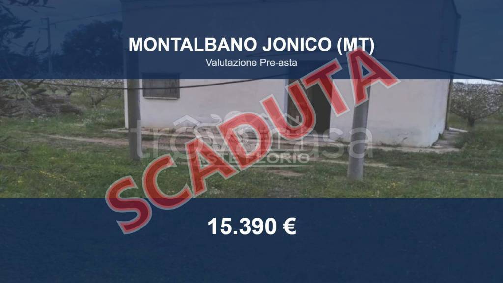 terreno agricolo in vendita a Scanzano Jonico