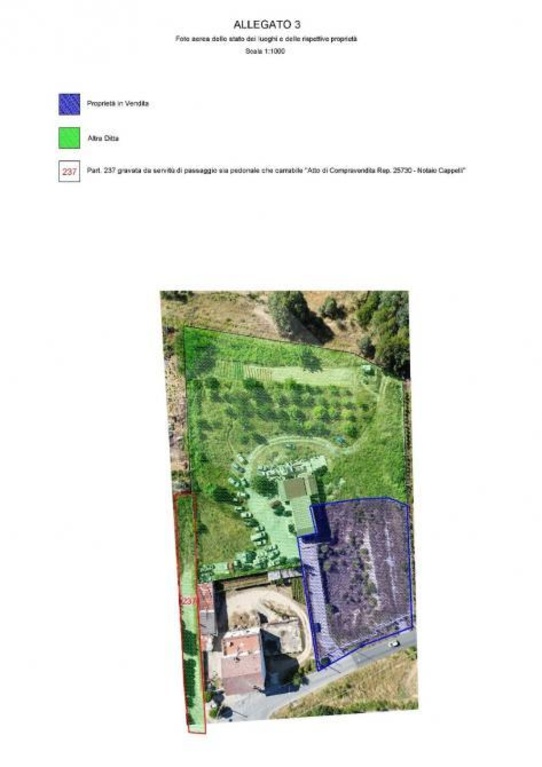terreno edificabile in vendita ad Acri in zona Settarie