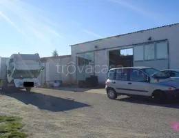trivano in vendita ad Acri in zona Settarie