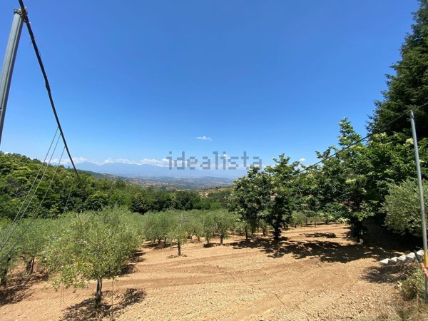 monolocale in vendita ad Acri