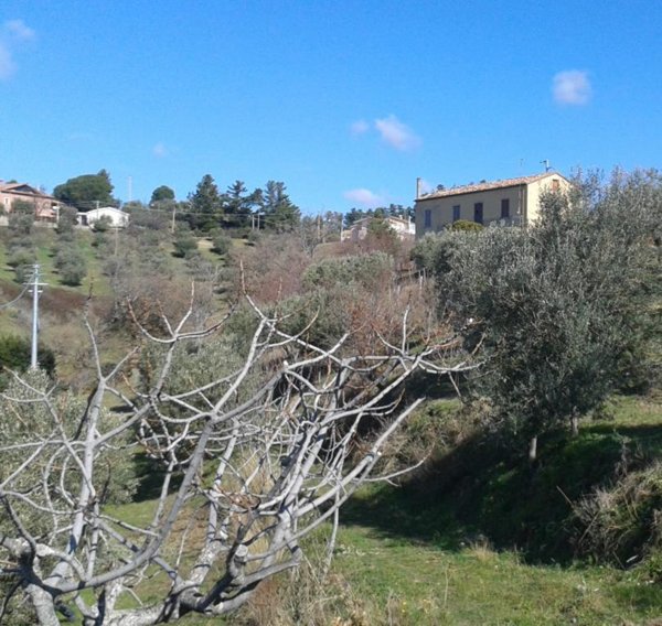 casa indipendente in vendita ad Acri in zona San Lorenzo