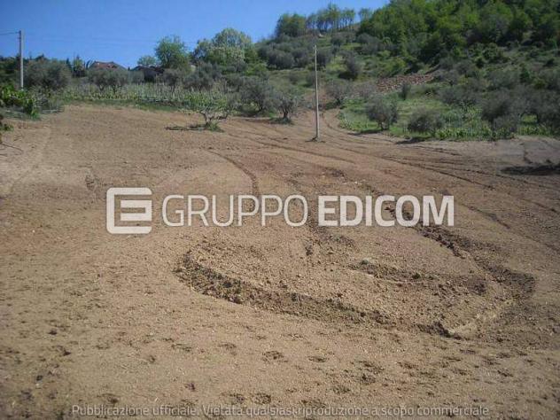 terreno agricolo in vendita ad Acri