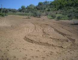 ufficio in vendita ad Acri in zona Policaretto