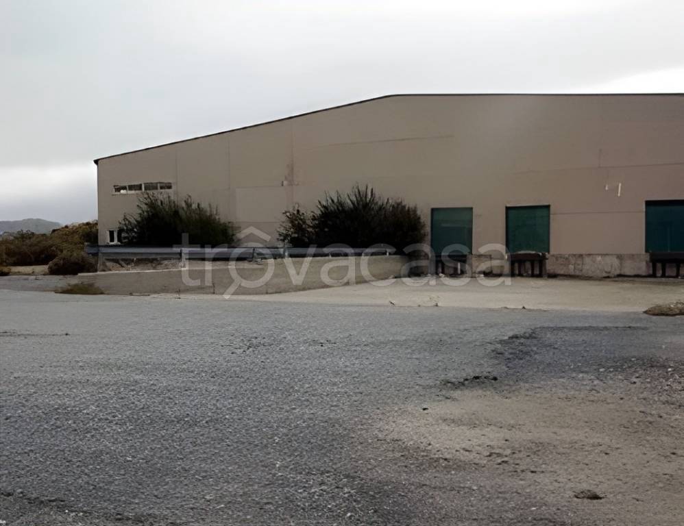 locale commerciale in vendita ad Acri in zona Policaretto