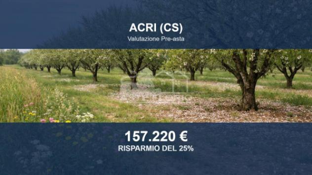 terreno agricolo in vendita ad Acri