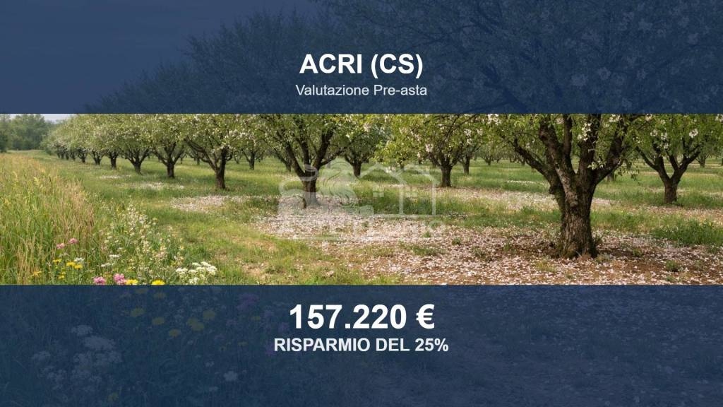 terreno agricolo in vendita ad Acri