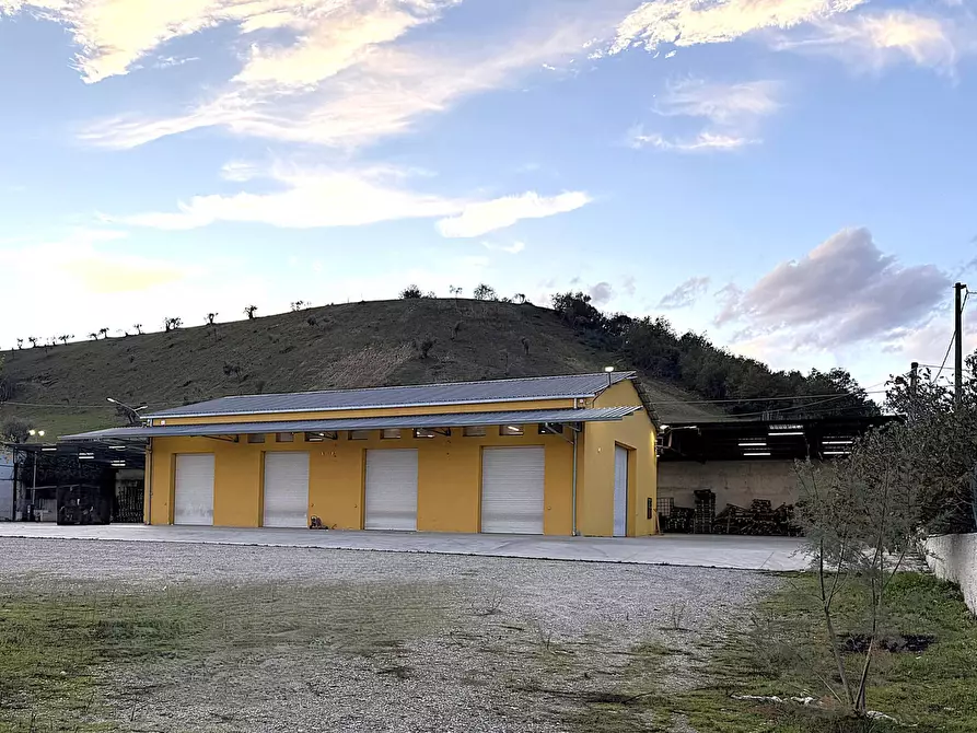 casa indipendente in vendita ad Altilia