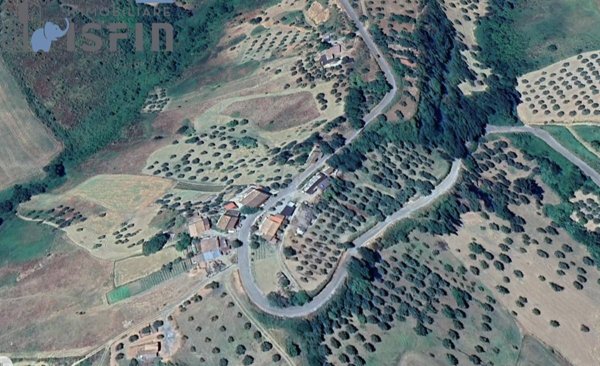 terreno agricolo in vendita ad Altomonte