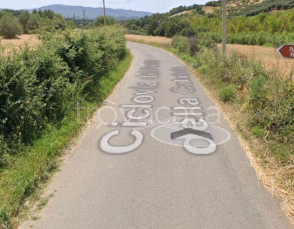 terreno agricolo in vendita ad Altomonte