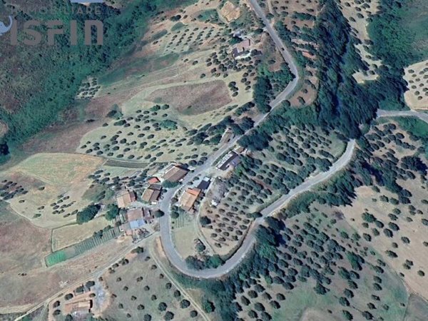 terreno agricolo in vendita ad Altomonte