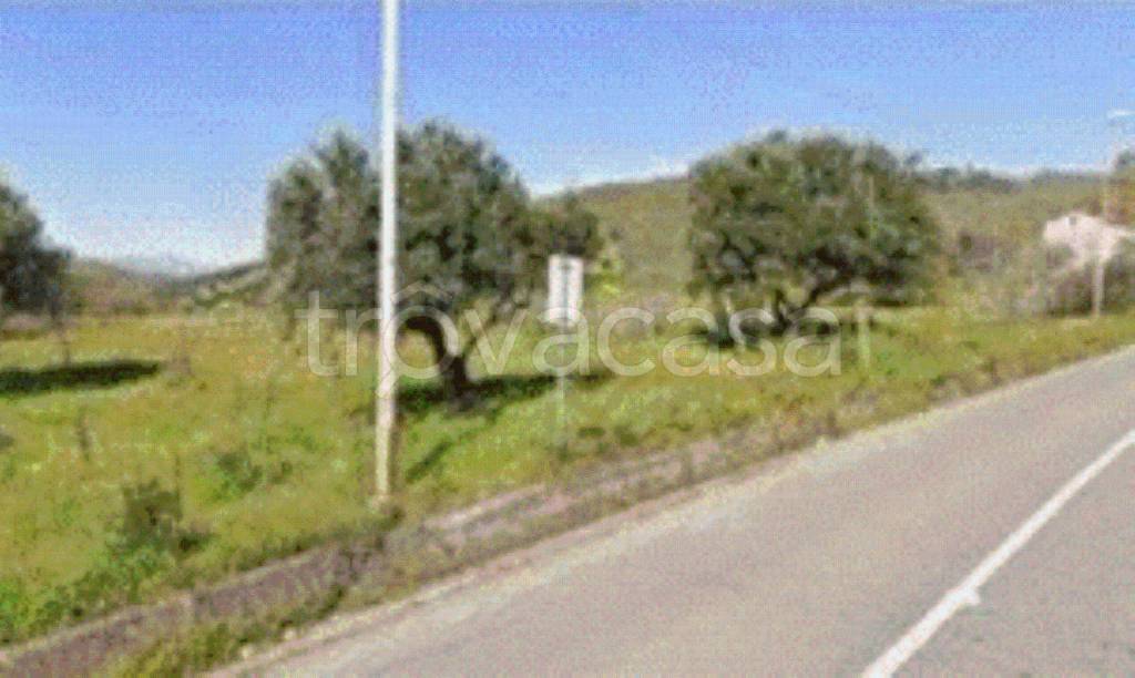 terreno agricolo in vendita ad Altomonte