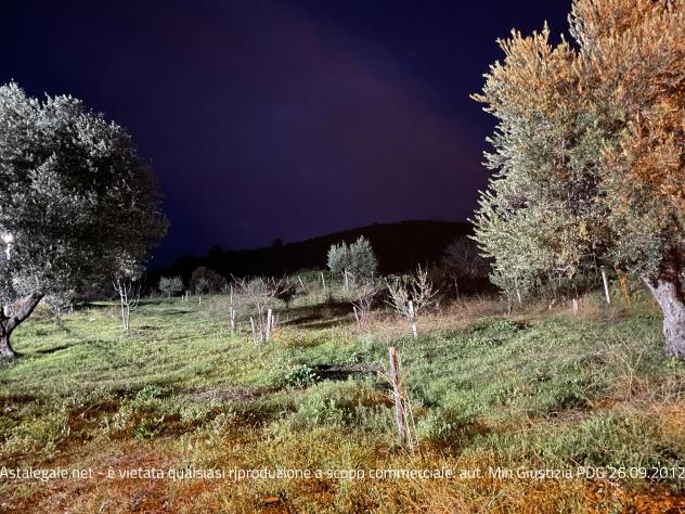 terreno agricolo in vendita ad Altomonte