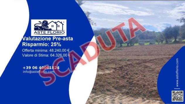 terreno agricolo in vendita ad Altomonte