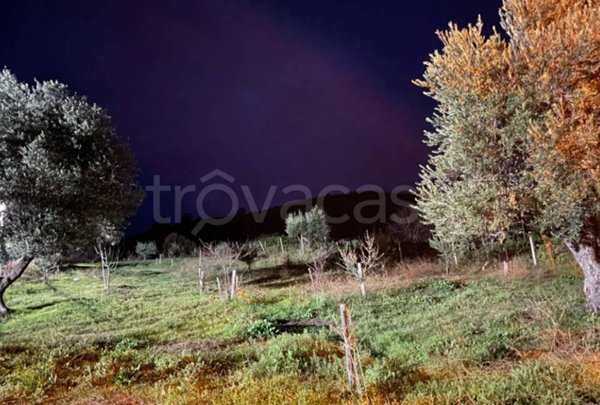 terreno agricolo in vendita ad Altomonte