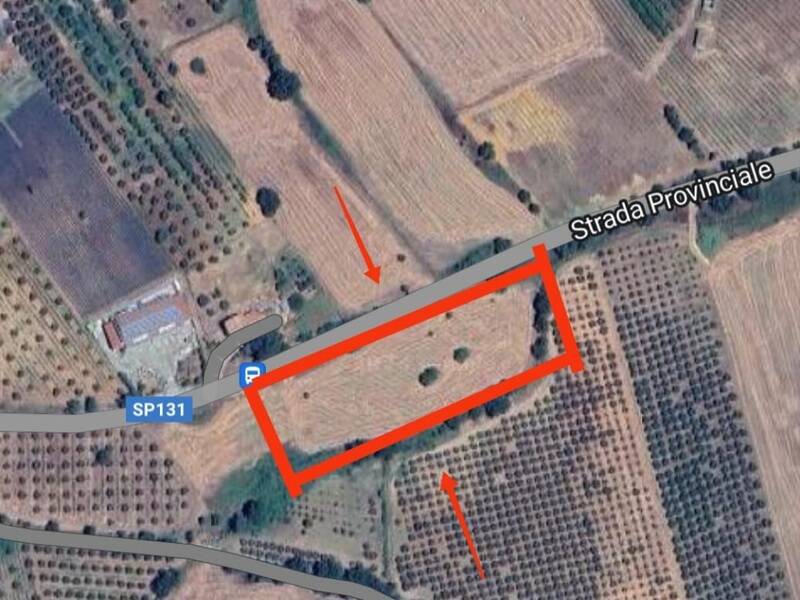 terreno agricolo in vendita ad Altomonte