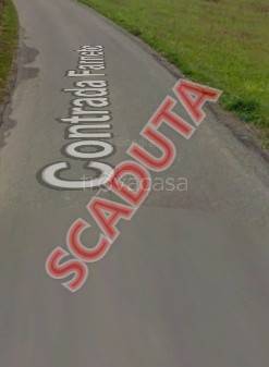 terreno agricolo in vendita ad Altomonte